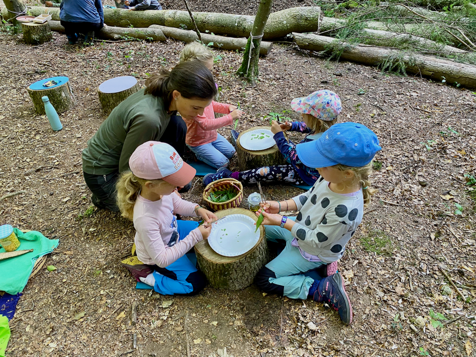 Kinder schneiden Spitzwegerich